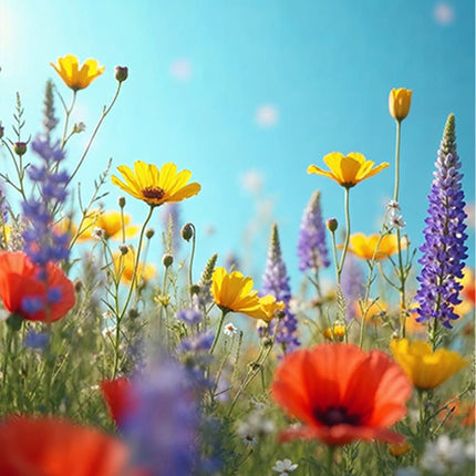 Akustikbild "Blühende Blumenwiese"